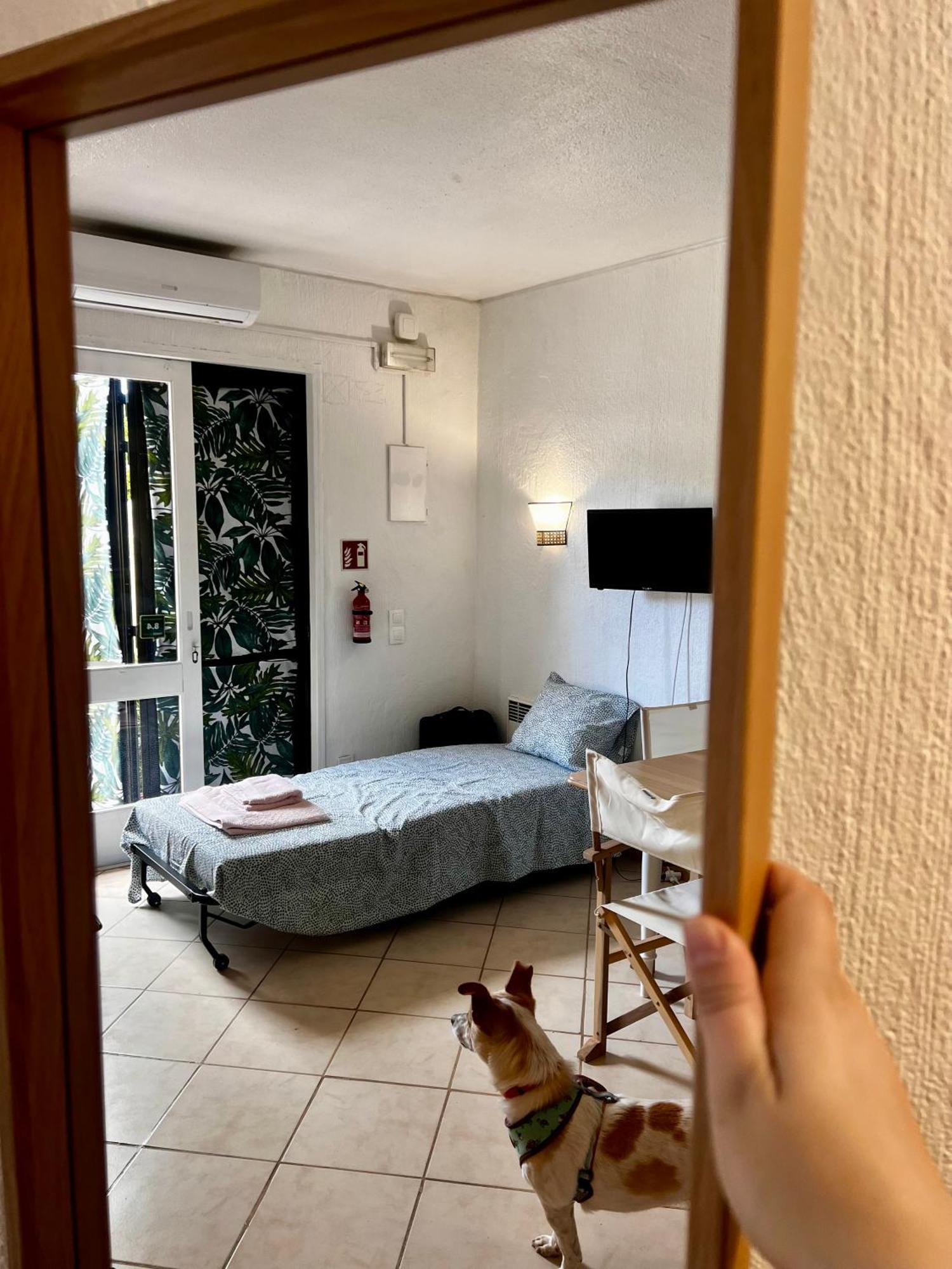 Studio Albufeira Jardim T0 Екстериор снимка